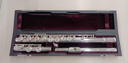 Yamaha yfl 811 - hard, case